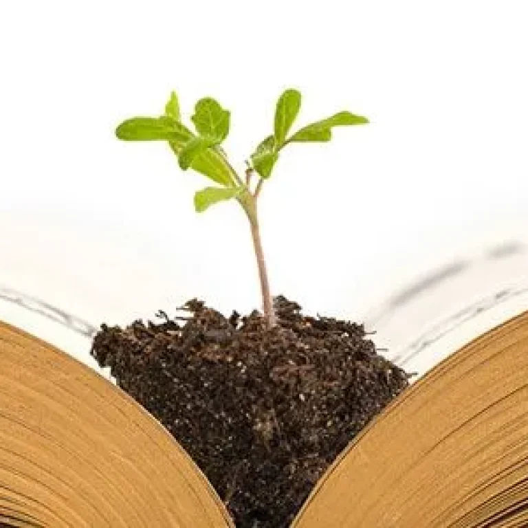 spiritual-fomation-1920w